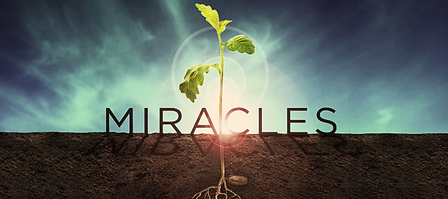 http://churchsermonseriesideas.com/miracles/