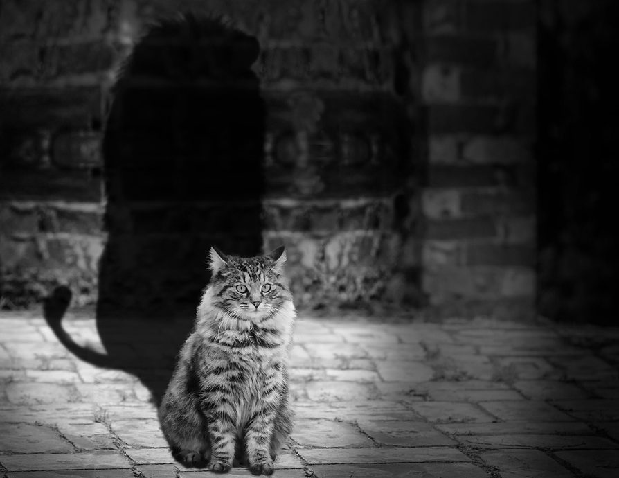 demonfear resurrectionlifeabundanthealing deliveranceSRA DIDfragmentsalters