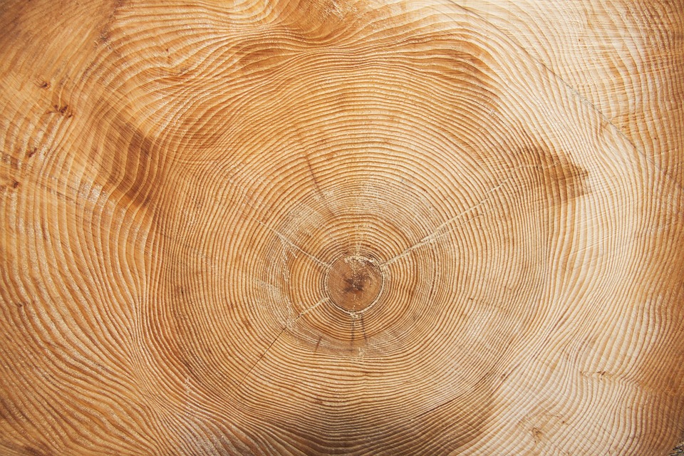 faith patience age years life longevity immortality