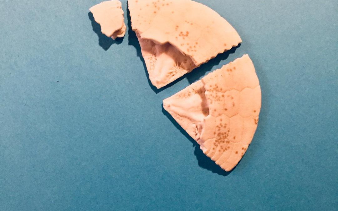 Broken But Beautiful